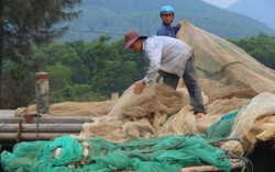 Đảm bảo không để ngư dân thiếu đói