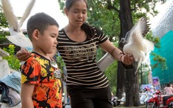 'Bạn thân' của hàng trăm con chim câu trước Nhà thờ Đức Bà
