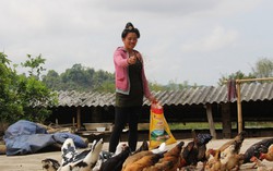 4 tỷ đồng giúp phụ nữ dân tộc thiểu số tiếp cận dịch vụ tài chính