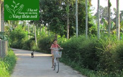 Phụ nữ Quảng Ngãi tích cực xây dựng nông thôn mới