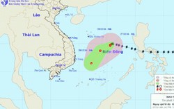 Bão Nockten cách quần đảo Hoàng Sa 430 km