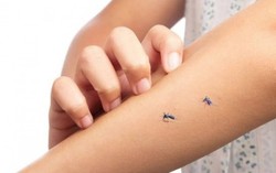 Xua muỗi đơn giản, hiệu quả với 9 thảo mộc tự nhiên
