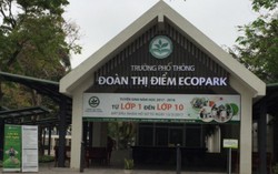 Nhiều học sinh chuyển đi, trường Đoàn Thị Điểm bèn thu phí giữ chỗ