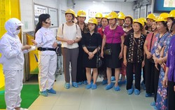 Khám phá quy trình sản xuất mì ăn liền của người Nhật