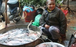 Người Hà Nội chưa hết sợ cá biển