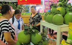 TPHCM thúc đẩy kết nối hàng hóa với 45 tỉnh, thành phố