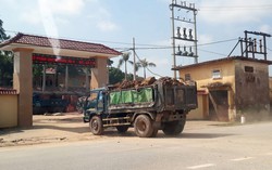 Nam Đàn, Nghệ An: Xe tải chở đất như ‘trẩy hội’, người dân bức xúc