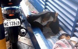 Bé gái vô gia cư 'đội' mưa lũ làm bài tập về nhà