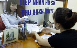 Hà Nội: Hơn 36 ngàn lao động bị doanh nghiệp nợ bảo hiểm xã hội
