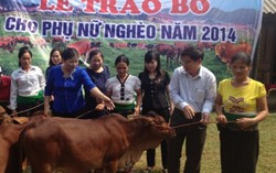 Liên kết để tránh 'được mùa rớt giá'