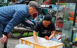 Chim, cá, ốc phóng sinh đắt hàng trước rằm tháng Giêng