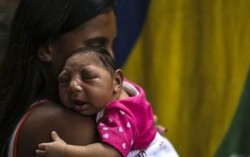 Du khách Úc nhiễm zika từng đến 4 tỉnh Việt Nam