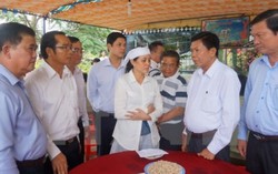 Khởi tố nghi can giết cán bộ quản lý thị trường