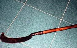 Gia Lai: Con rể chém bố mẹ vợ tử vong rồi treo cổ tự tử