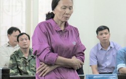 Lừa đảo chạy việc, nguyên cán bộ công an lĩnh án 14 năm tù