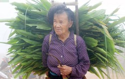 Sơn La: Rét đậm, sương mù dày đặc, bà con vẫn lên nương