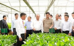 Cắt giảm mạnh các rào cản để thu hút đầu tư vào nông nghiệp
