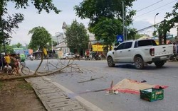 Đi trên đường, chồng chết vợ bị thương vì cành cây rơi trúng đầu