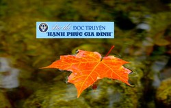 Thạch Thảo với 'Lời hẹn trở lại Đà Lạt'