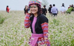 Tam giác mạch nhuộm trắng đèo Pha Đin