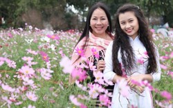 Dạy con sống khiêm nhường như lá cây