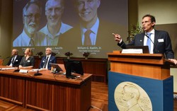 Video công bố Giải Nobel Y học năm 2019