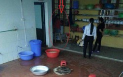 Hiệu trưởng nhận dọa cho trẻ vào máy vặt lông gà
