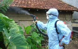 Dịch zika hết, nguy cơ tái phát cao