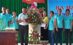 Ra mắt hợp tác xã chế biến tinh dầu sả của phụ nữ dân tộc thiểu số