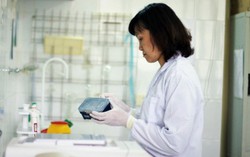 Nữ tiến sĩ và hành trình nghiên cứu vaccine ngừa ho gà cho thai phụ