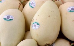Trung Quốc đứng đầu về thị trường nhập khẩu rau quả của Việt Nam