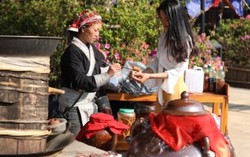 Nghỉ lễ 30/4, lên ngay Fansipan check in với vương quốc hoa tuyệt đẹp