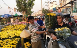 Tấp nập chợ Tết ven sông