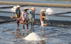 Những giọt mồ hôi cay xè mắt của diêm dân ở Hòn Khói