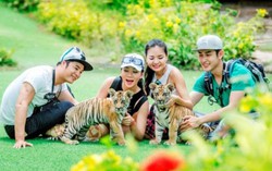 Trải nghiệm 'kỳ nghỉ 5 sao' tại Vinpearl Discovery Nha Trang và Phú Quốc