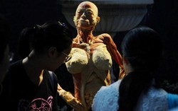 Triển lãm 'cơ thể người' bị yêu cầu đóng cửa ngay hôm nay