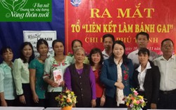Tổ liên kết sản xuất bánh gai giúp phụ nữ phát triển kinh tế