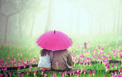Bắt gặp chiếc ô hồng, vợ nghi chồng ngoại tình