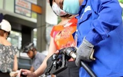 Thiên tai liên tiếp và giá xăng dầu đẩy CPI tháng 11 tăng 0,13%