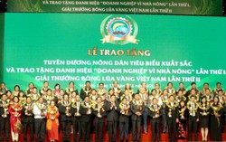 Tôn vinh những bóng hồng trong nông nghiệp