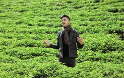 Trọng Hiếu hóa siêu anh hùng trong MV nhạc phim "Lôi báo"