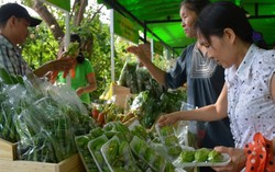 Chợ phiên nông sản: Mở ra không dễ, duy trì càng khó
