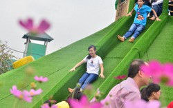 Những điểm chơi Tết Dương không quá 100 ngàn vẫn thú vị