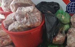 8 tấn thịt heo đông lạnh đã bốc mùi chờ tiêu thụ bị phát hiện