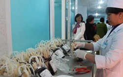  Truyền máu 'sạch' nhờ kỹ thuật phát hiện HIV sớm hơn 10 ngày