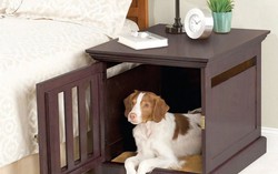 Giải pháp để nuôi 'pet' trong nhà có không gian nhỏ hẹp