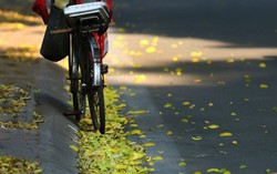 Nửa đời người chỉ thèm giấc mơ quê