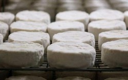 Đức thu hồi phô mai của Pháp do lo ngại nhiễm khuẩn E.coli