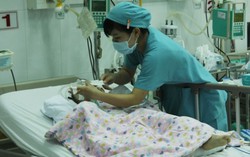 TP.HCM, sốt xuất huyết tăng 20% sau 1 tuần