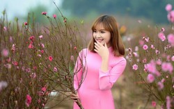 Phụ nữ Thủ đô đoàn kết, sáng tạo, đổi mới, phát triển